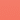 Flamingo Pink