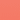 Flamingo Pink