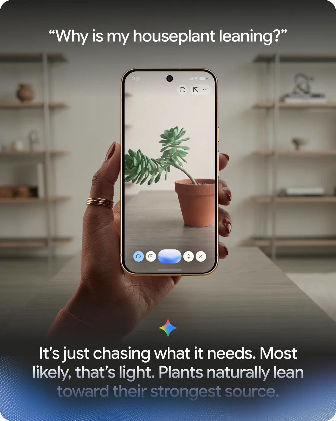 Gemini Live using the camera to talk about a houseplant