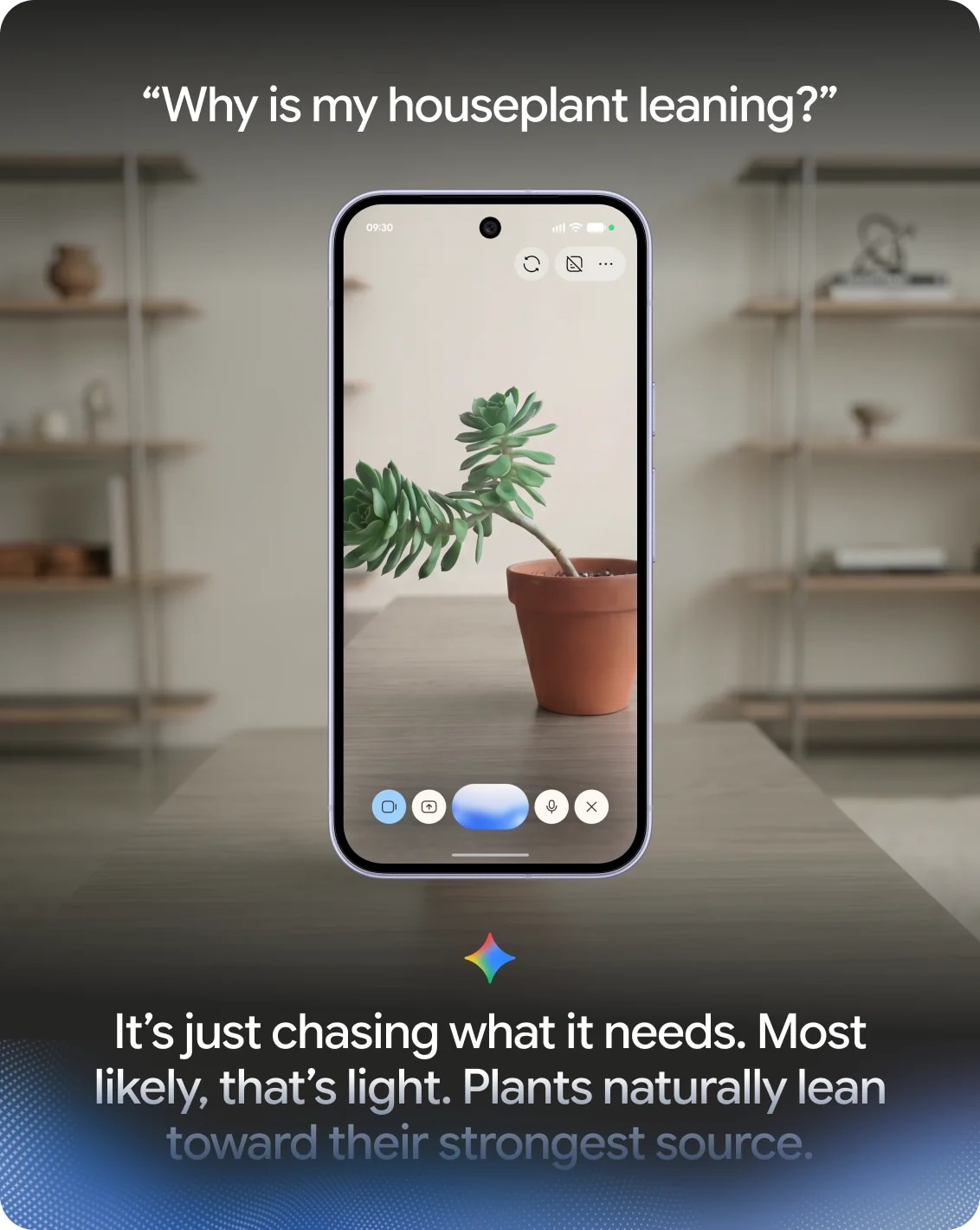 Gemini Live using the camera to talk about a houseplant