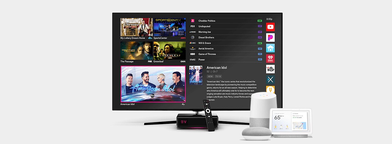 T-Vision Google Assistant Functionality