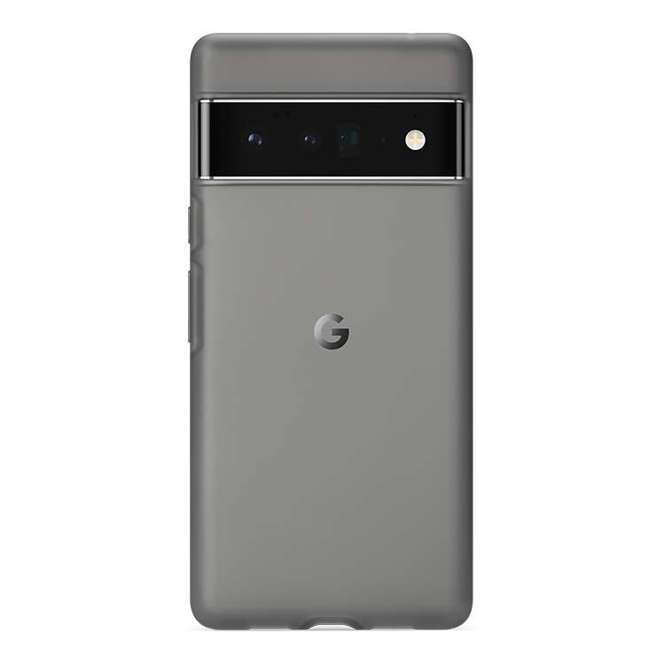 Google Echo Case & Google Pixel 6 Pro Stormy Sky
