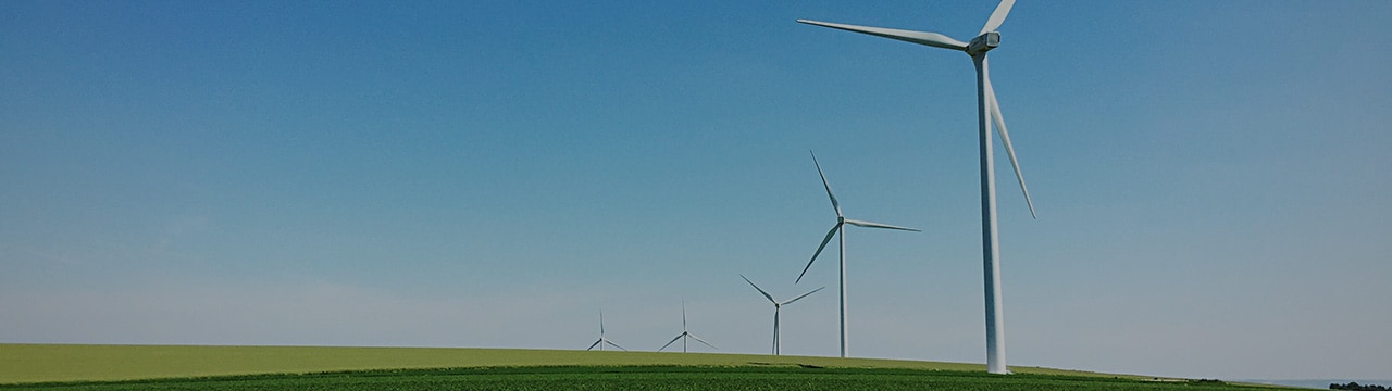 Windmill farm