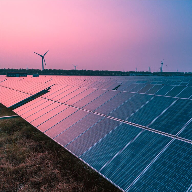 Wind turbines and solar panels in an open field.