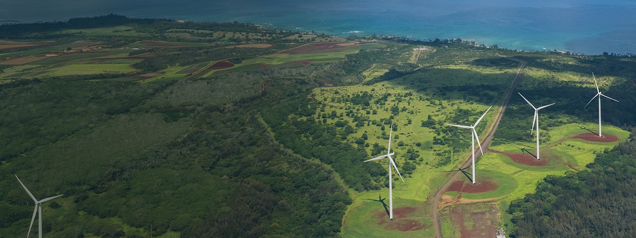 Windmills near the coast.