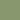 Light Moss