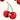 Mon Cheri Cherry