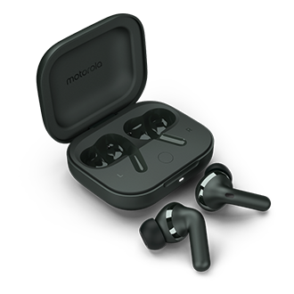 Motorola moto buds+ - Forest Gray