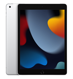 Apple - iPad 9th gen - Silver - 64GB